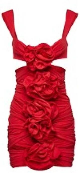 Magda Butrym Dress Rood Dames