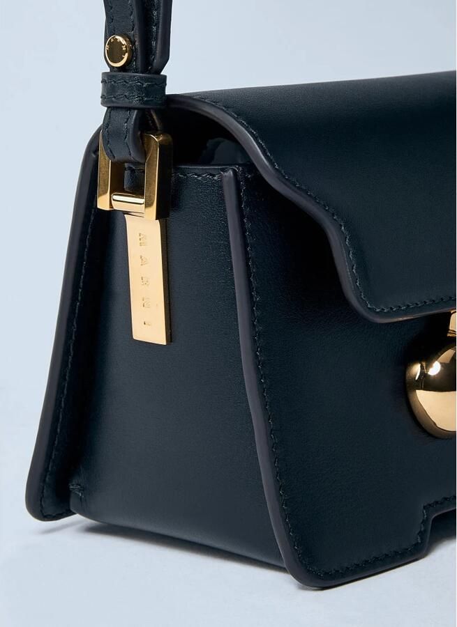 Marni Mini Schoudertas met Gouden Hardware Black Dames - Foto 2