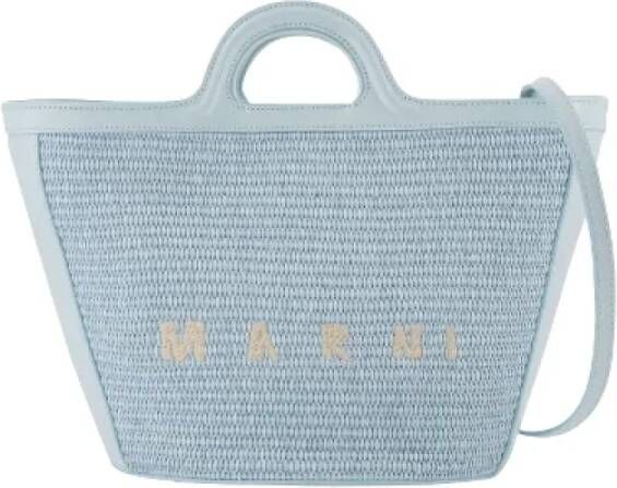 Marni Pre-owned Pre-owned Raffia handbags Blauw Dames