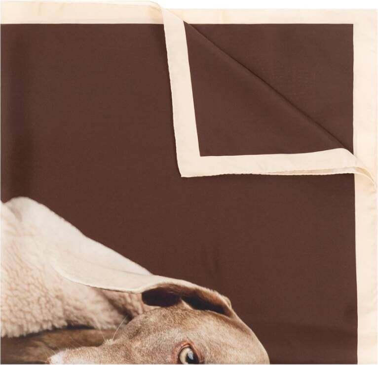 Max Mara Carreteddydog zijden sjaal Beige Dames