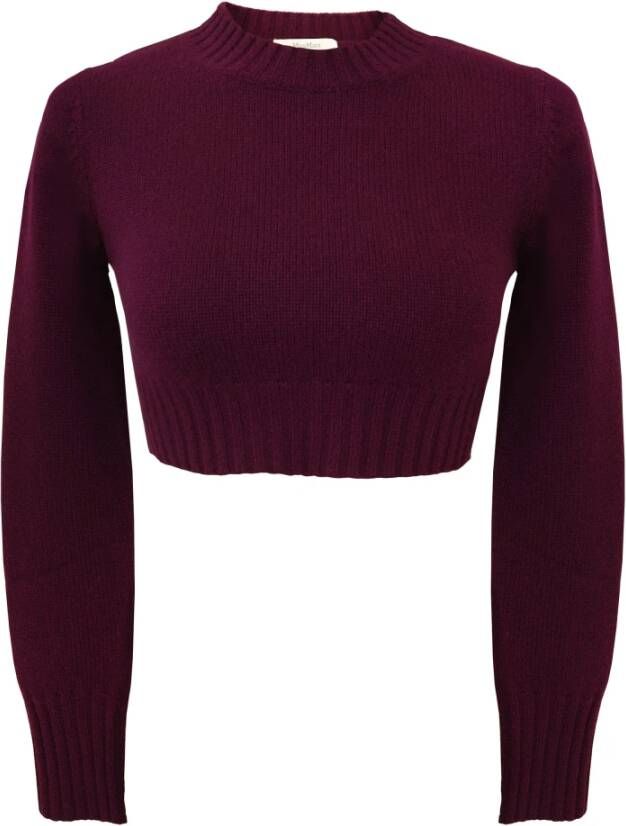 Max Mara Levendige Violet Ronde Hals Trui Rood Dames