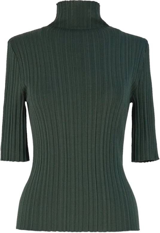 Max Mara Studio Felicia -trui Groen Dames