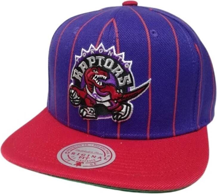 Mitchell & Ness Paarse Raptors Pinstripe Snapback Pet Multicolor Heren