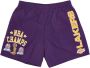 Mitchell & Ness Casual Shorts Purple Heren - Thumbnail 1