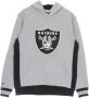 Mitchell & Ness Hoodie NFL Pinnacle zwaargewicht fleece hoodie Oakrai Grijs Heren - Thumbnail 1