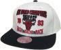 Mitchell & Ness Witte Bulls 93 Snapback Pet White Heren - Thumbnail 1