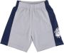 Mitchell & Ness Training Shorts Grijs Heren - Thumbnail 1