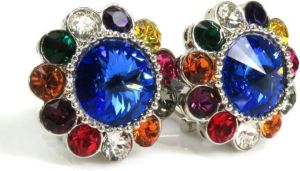 Miu Pre-owned Earrings Blauw Dames