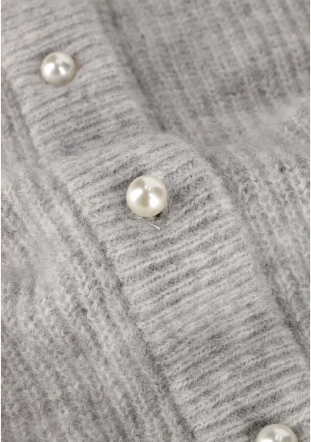 MODSTRÖM Modström Dames Truien & Vesten Lennimd Cardigan Grijs