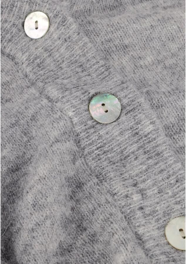 MSCH COPENHAGEN Dames Truien & Vesten Mschpetrinelle Hope Cardigan Antraciet