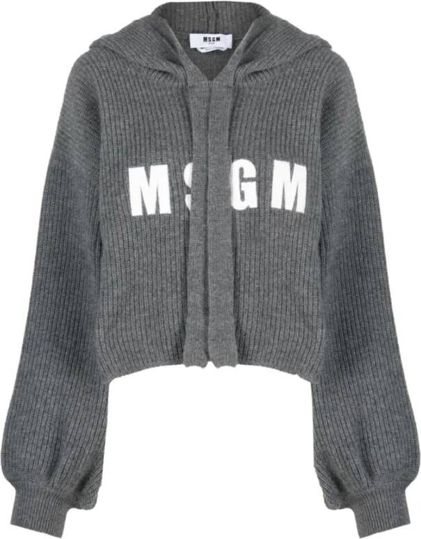 Msgm Grijze Trui met Geborduurd Logo Grijs Dames
