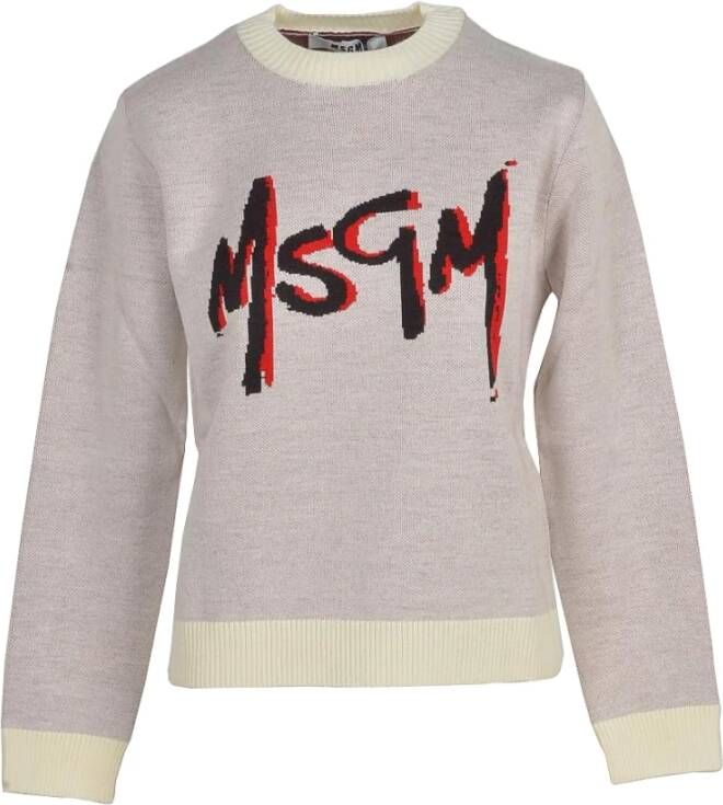 Msgm Sweatshirt Grijs Dames