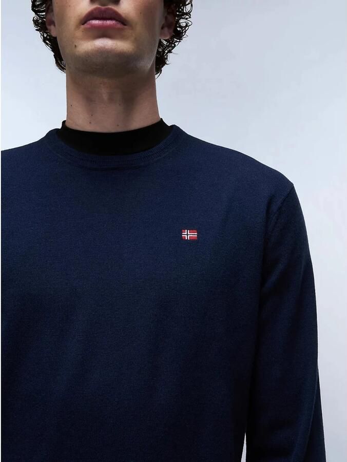 Napapijri Polo Shirts Halve Knoopsluiting Geborduurd Logo Casual Stijl Blue Heren