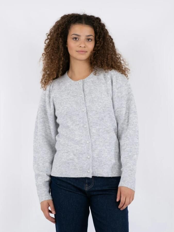 NEO NOIR Dames Truien & Vesten Nuna Knit Cardigan Lichtgrijs