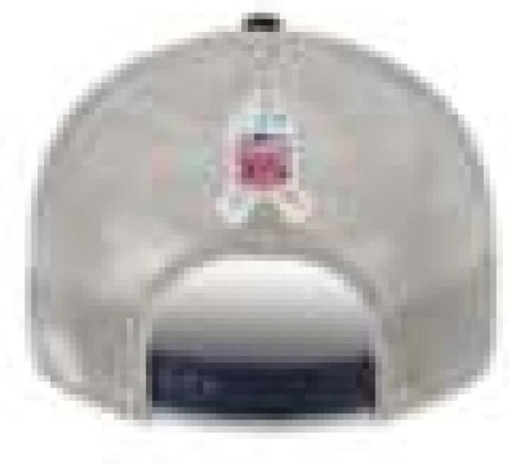 New era NFL STS Pet Grijs Textiel Geborduurd Gray Heren