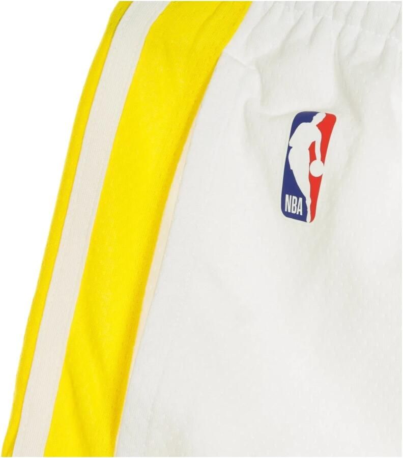 Nike Basketbal Swingman Shorts Icon Edition Multicolor Heren