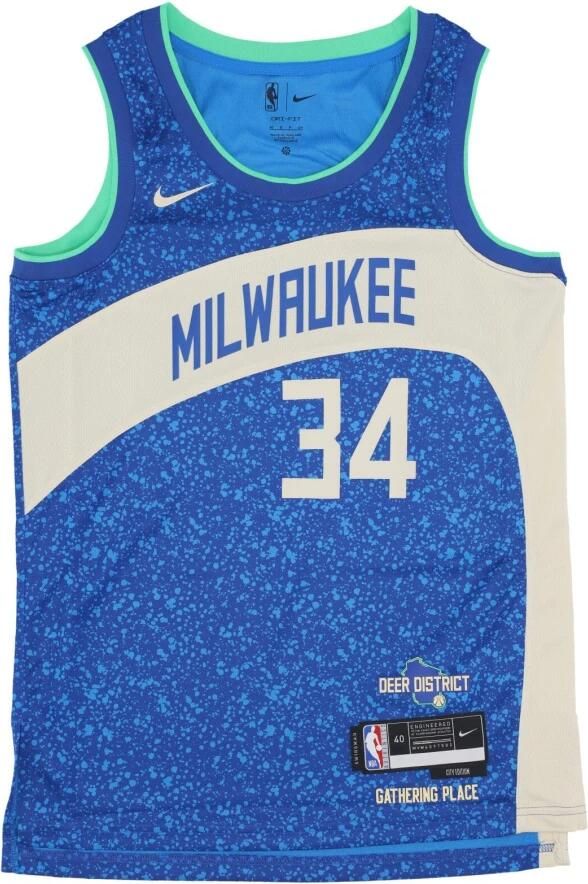 Nike Giannis Antetokounmpo Milwaukee Bucks City Edition 2023 24 Dri-FIT Swingman NBA-jersey voor heren Blauw