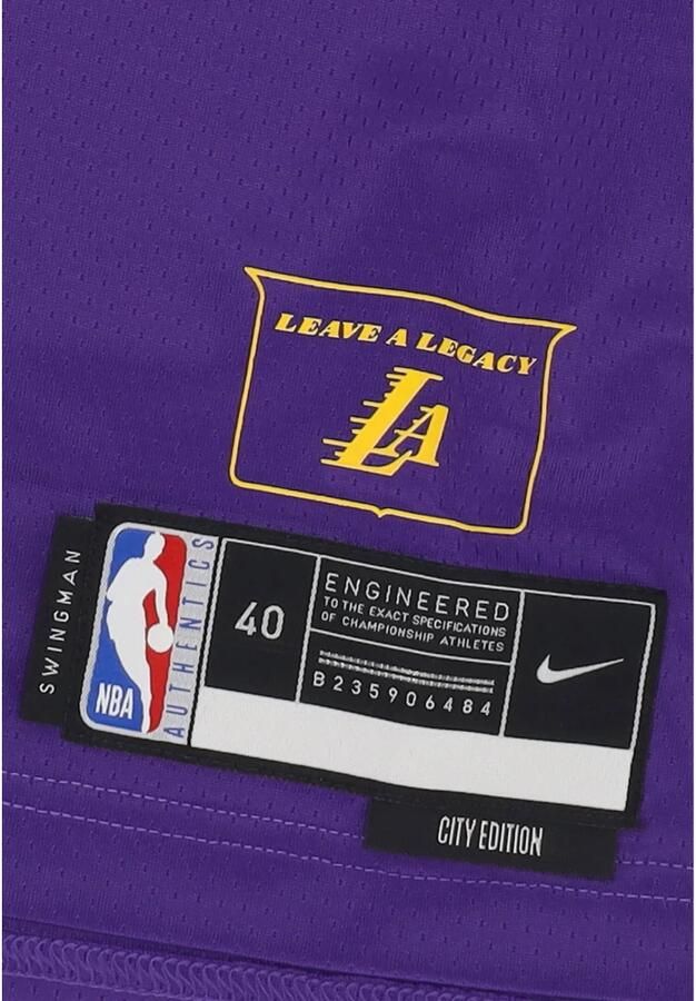Nike LeBron James Los Angeles Lakers 2024 25 City Edition Dri-FIT Swingman NBA-jersey voor heren Paars