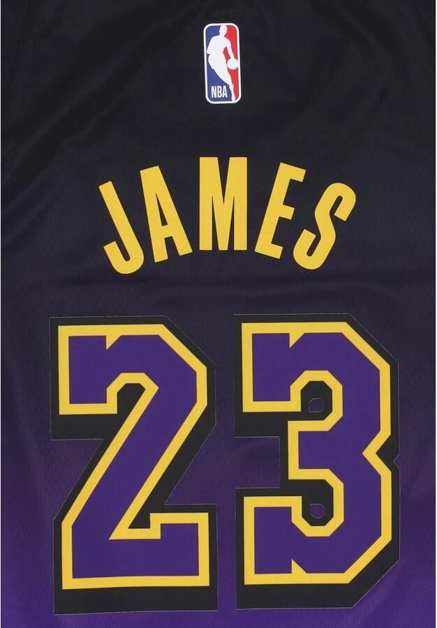 Nike LeBron James Los Angeles Lakers 2024 25 City Edition Dri-FIT Swingman NBA-jersey voor heren Paars - Foto 2