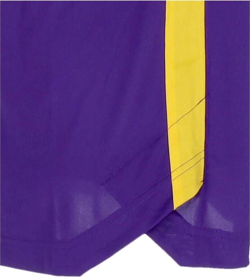 Nike Los Angeles Lakers Dri-FIT NBA-herentop met lange mouwen Paars