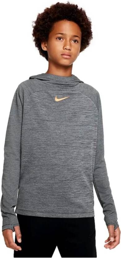 Nike Sweatshirts Grijs Heren