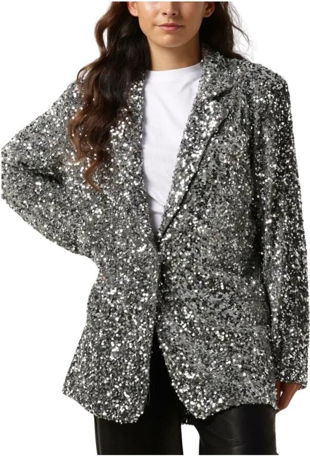 NOTRE-V Dames Blazers Nv-christine Glitter Velvet Blazer Zilver - Foto 3