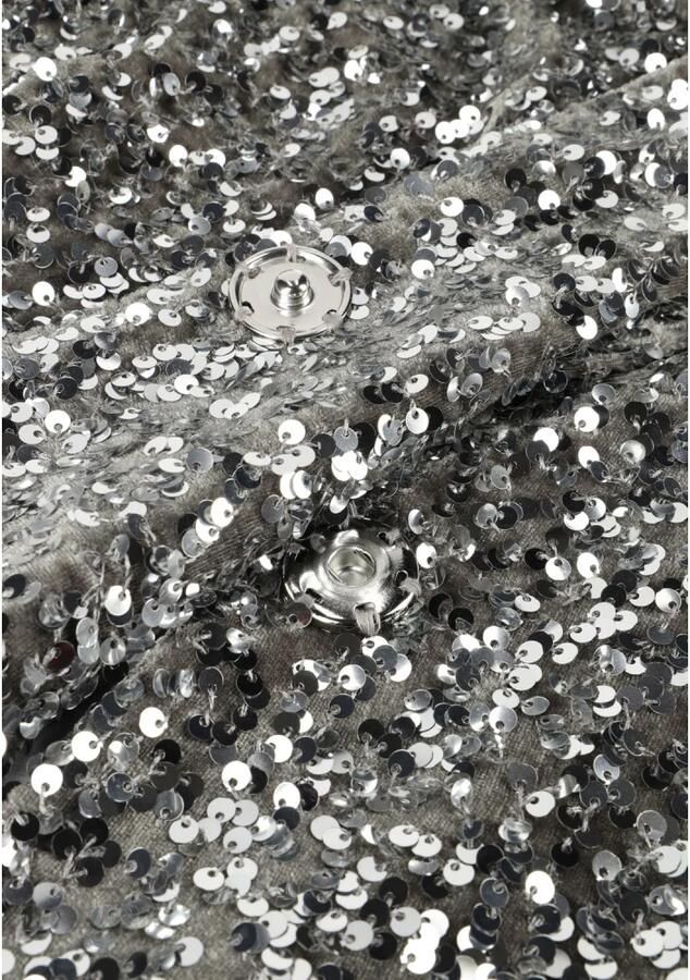 NOTRE-V Dames Blazers Nv-christine Glitter Velvet Blazer Zilver