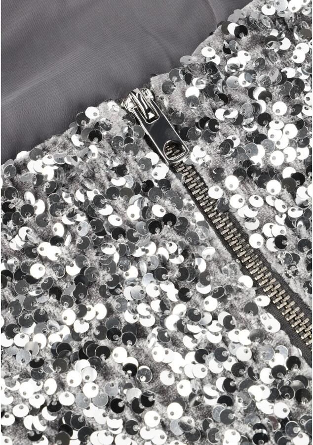 Notre-v Paillet Zilveren Top voor Feestelijke Gelegenheden Gray Dames - Foto 5