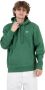 Obey Lichtgewicht Palmblad Hoodie Green Heren - Thumbnail 1