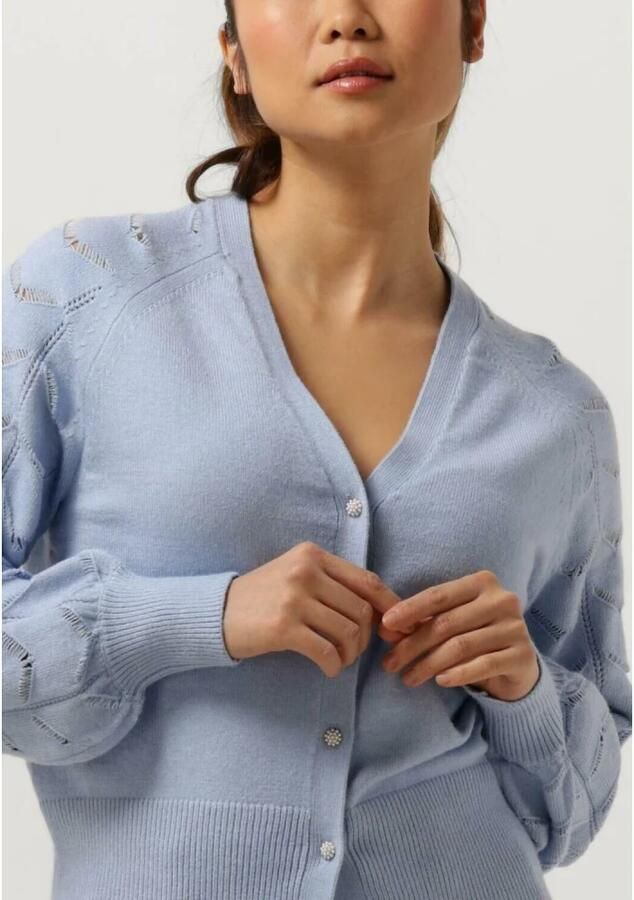 OBJECT Dames Truien & Vesten Objeva L s Knit Cardigan Lichtblauw