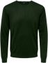 ONLY & SONS Trui met ronde hals ONSWYLER LIFE REG 14 LS CREW KNIT NOOS - Thumbnail 2