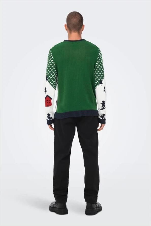 Only & Sons Trui Only & Sons ONSXMAS REG LANDSCAPE CREW KNIT 22023349