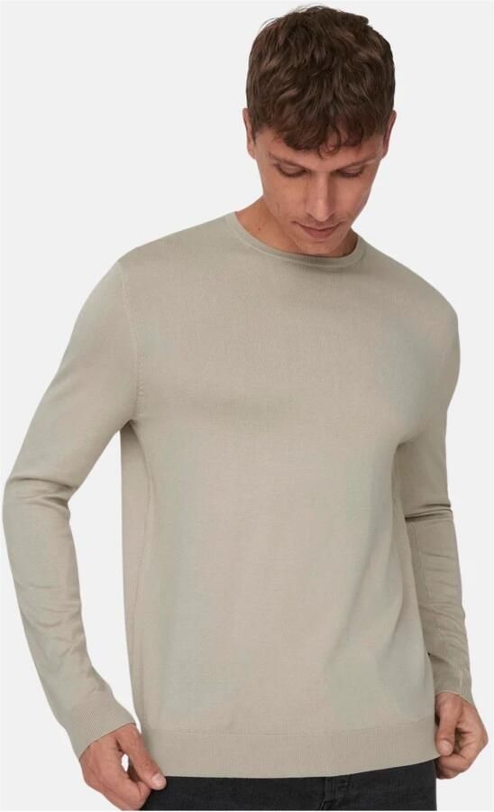 Only & Sons Regular fit gebreide pullover van viscosemix model 'WYLER' - Foto 2