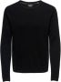 Only & Sons Trui Only & Sons ONSPANTER REG 12 STRUC CREW KNIT NOOS KNIT NOOS - Thumbnail 2