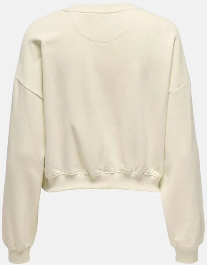 Only Lange mouw ronde hals trui vrouwen Beige Dames
