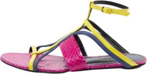 Oscar De La Renta Pre-owned Pre-owned Leather sandals Meerkleurig Dames