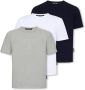 Palm Angels MultiColour T-shirts en Polos met Ribgebreide Crewneck Gray Heren - Thumbnail 1