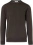 Paolo Pecora Bruine Sweaters voor Heren Bruin Heren - Thumbnail 1
