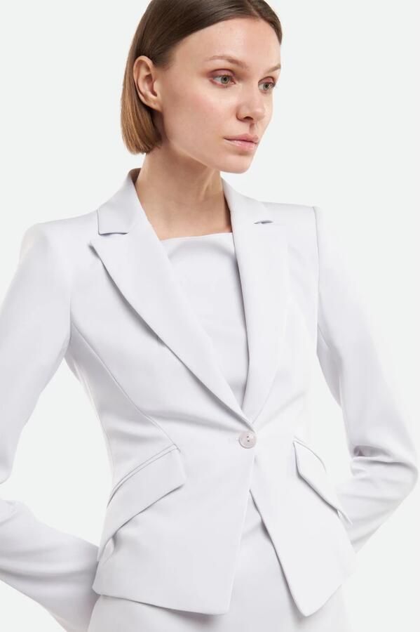 PATRIZIA PEPE Grijze Aansluitende Blazer met Diagonale Zakken White Dames - Foto 3