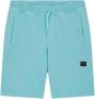 PAUL & SHARK Casual Shorts Blauw Heren - Thumbnail 1