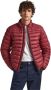 Pepe Jeans Down Jackets Rood Heren - Thumbnail 1