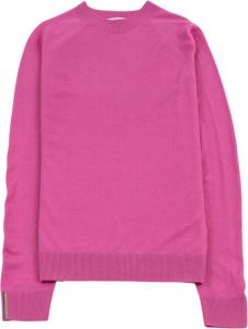 PESERICO Round-neck Knitwear Roze Dames
