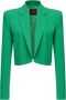 Pinko Moderne getailleerde blazer Green Dames - Thumbnail 1