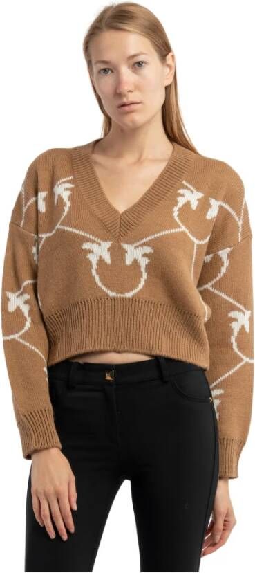 pinko Sweater Bruin Dames