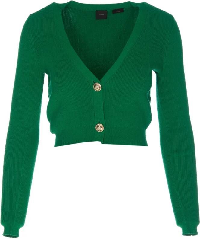 Pinko Vesten Groen Dames