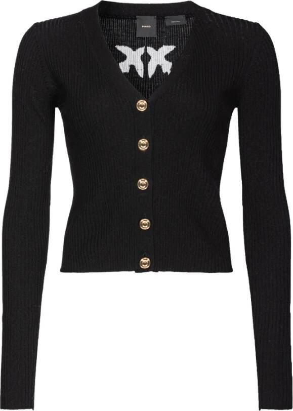 Pinko Zwarte Sweaters voor Dames Zwart Dames