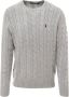 Polo Ralph Lauren Knitwear Grijs Heren - Thumbnail 1