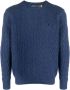 Polo Ralph Lauren Round-neck Knitwear Blauw Heren - Thumbnail 1