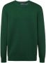 Polo Ralph Lauren Geborduurde Groene Jersey Sweaters Green Heren - Thumbnail 2
