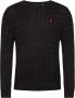 Polo Ralph Lauren Zwarte Katoenen Sweatshirt van Ralph Lauren Zwart Heren - Thumbnail 1